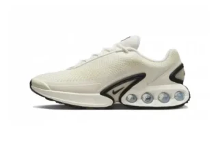 Air Max DN
