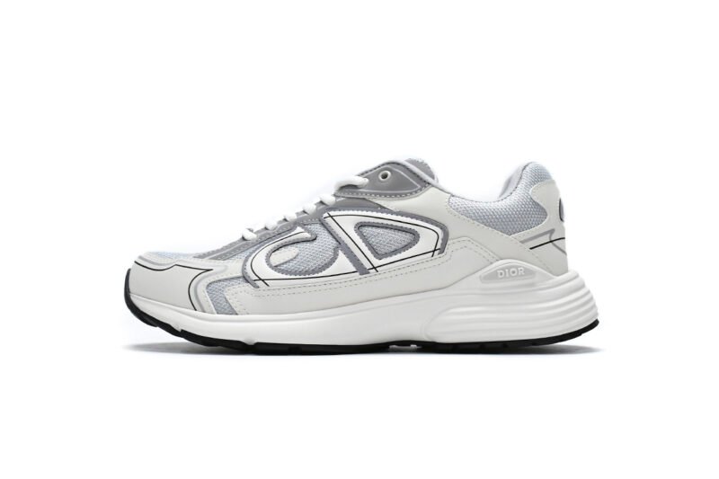 Dior-B30-Gray-White.jpeg