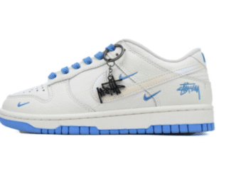 Nike Dunk Stussy